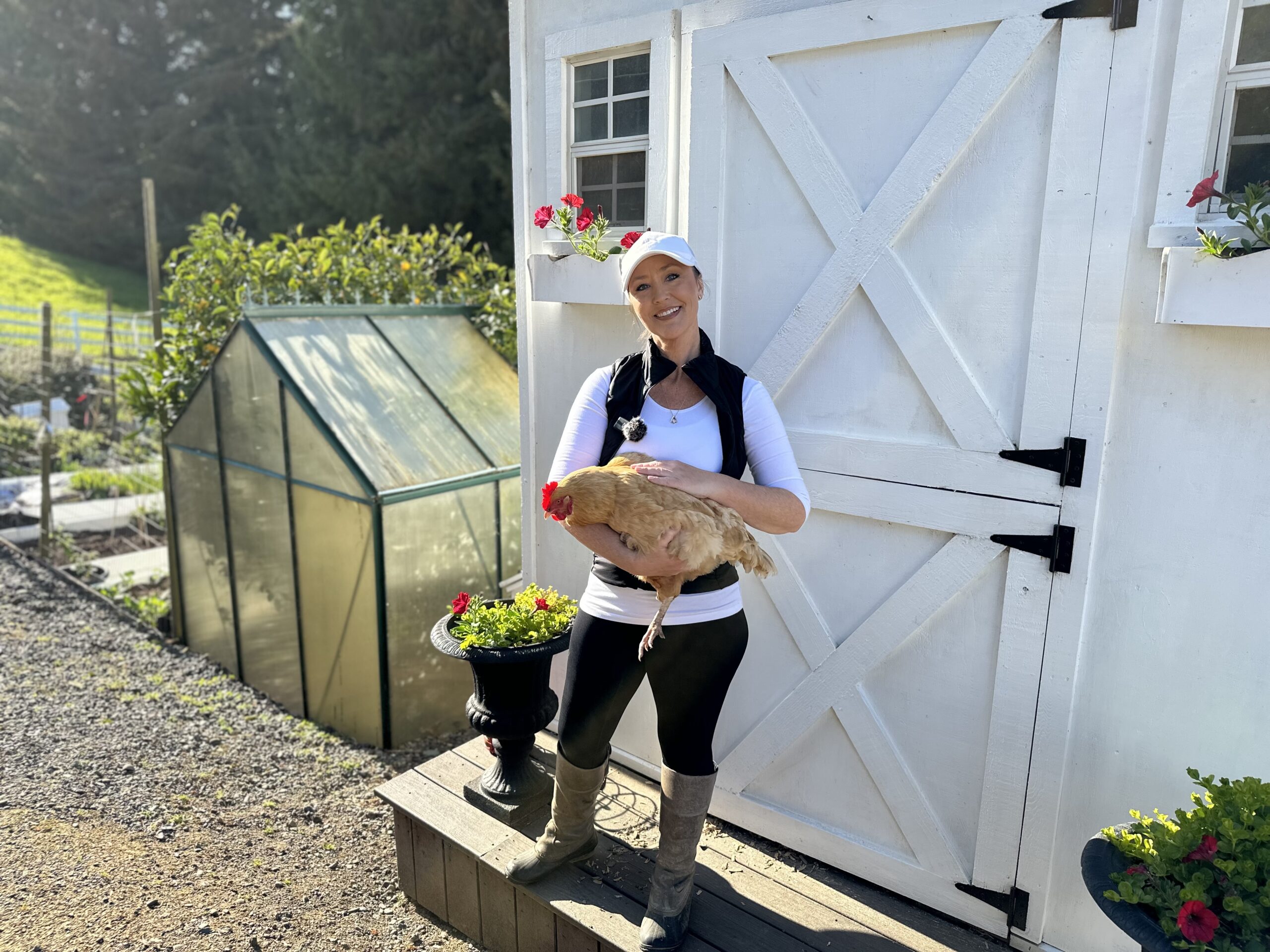 women in white hat and work boots standing in front of chicken coop holding a buff orpington chicken with red wave petunias