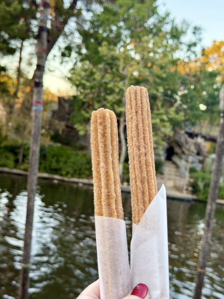 A picture of two churros from Disneyland.