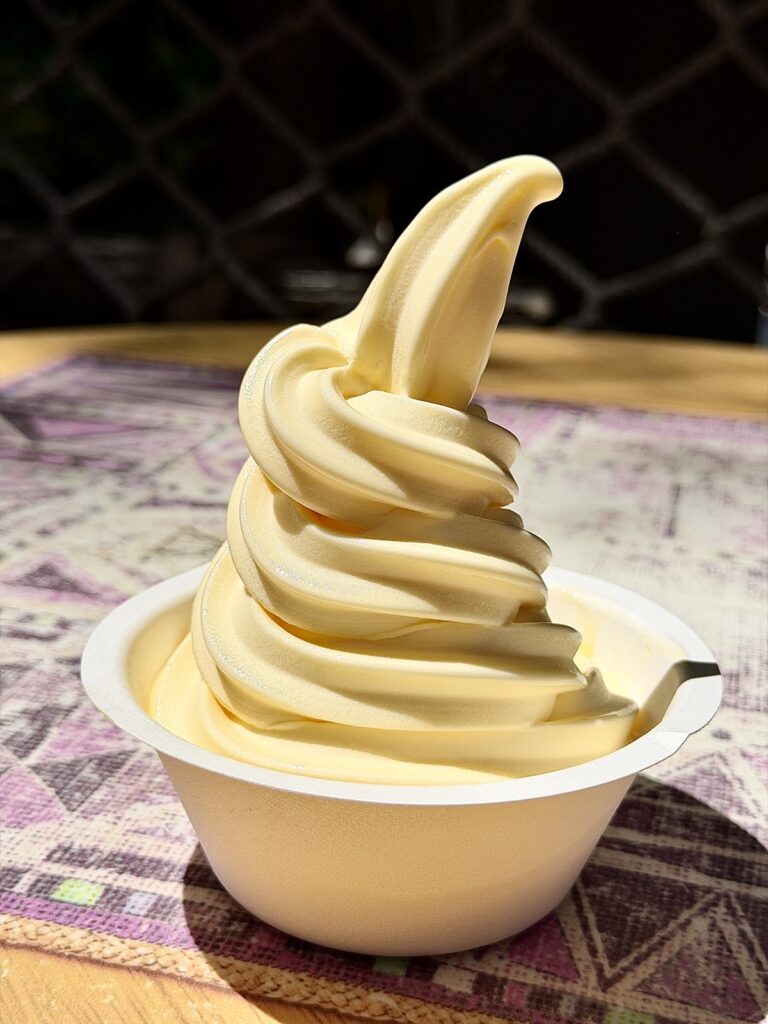 A picture of a door whip from Disneyland in Anaheim, California.